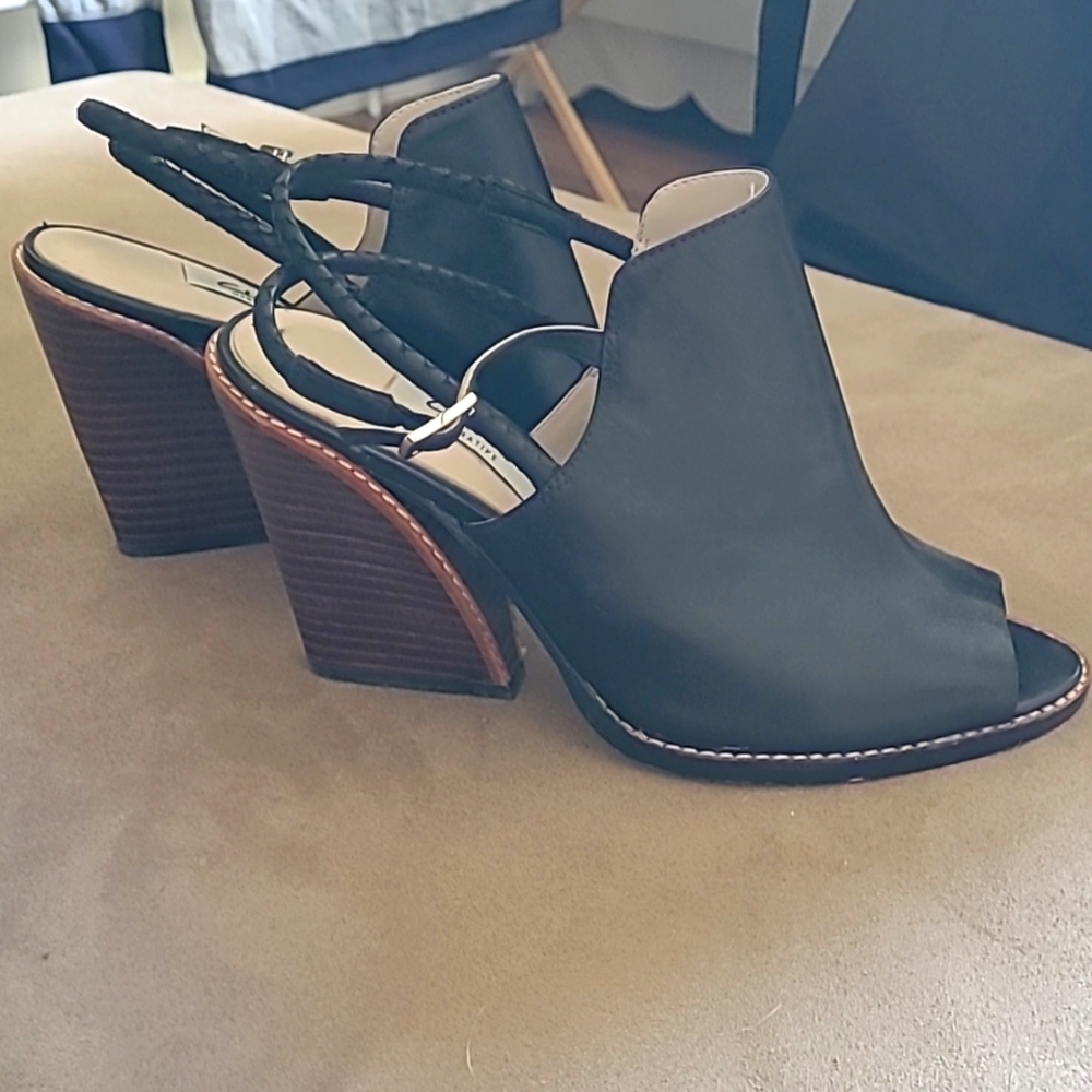 Clarks shooties